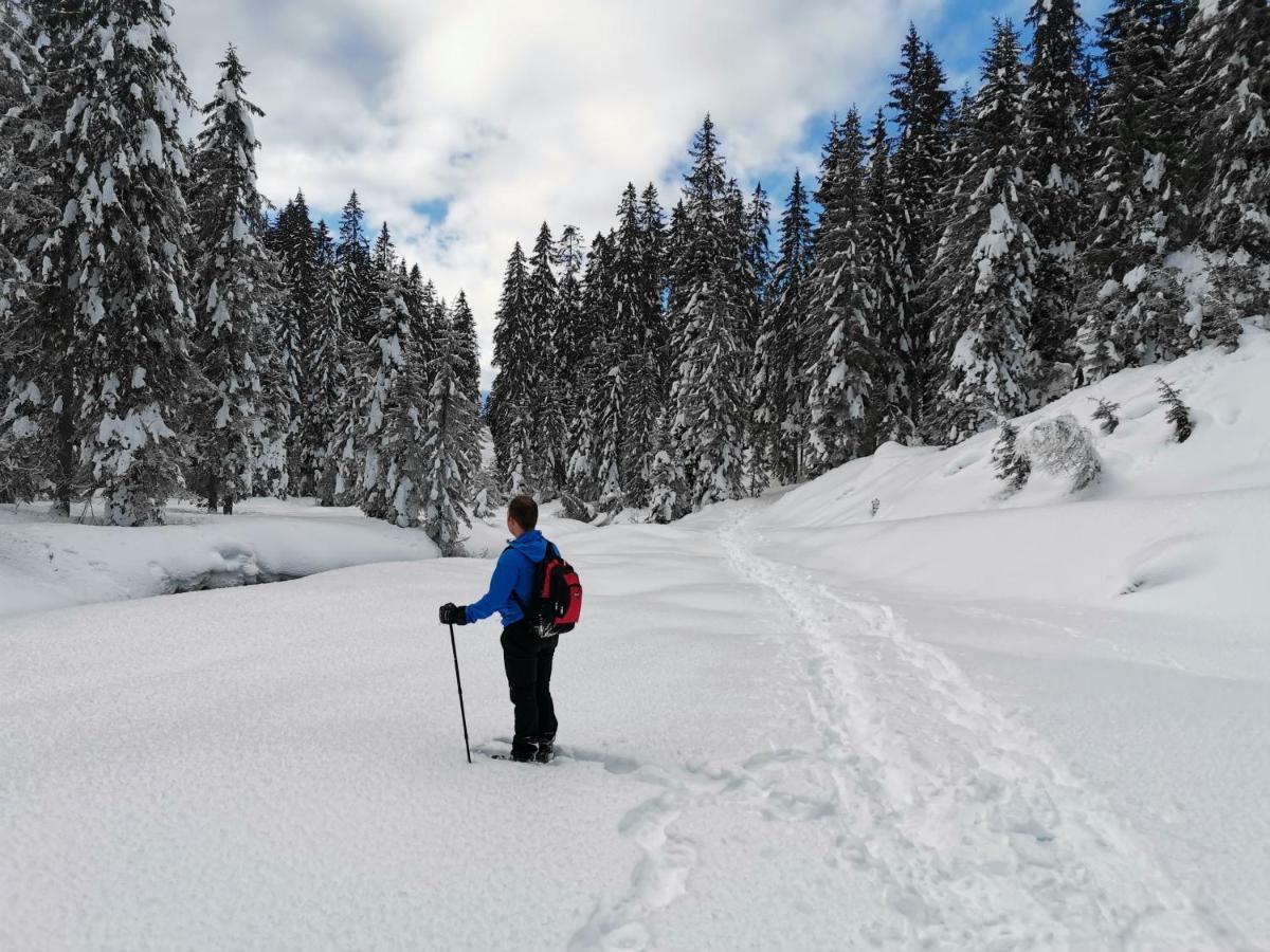 Hotel Garni Sottobosco Dimaro Dış mekan fotoğraf